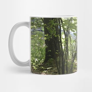 Lake Through the Woods Mug